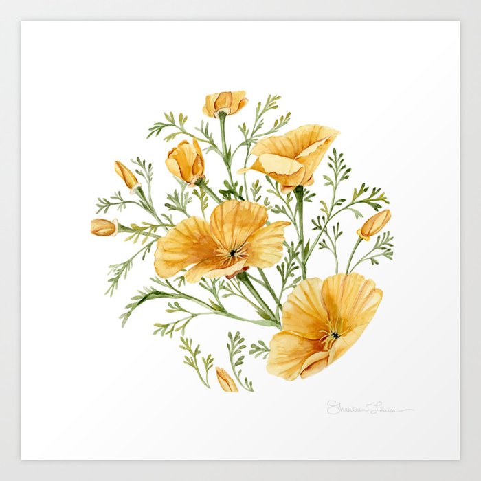 California Poppies Watercolor Painting Art Print By