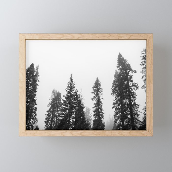 Deep in the Forest of Yosemite Framed Mini Art Print