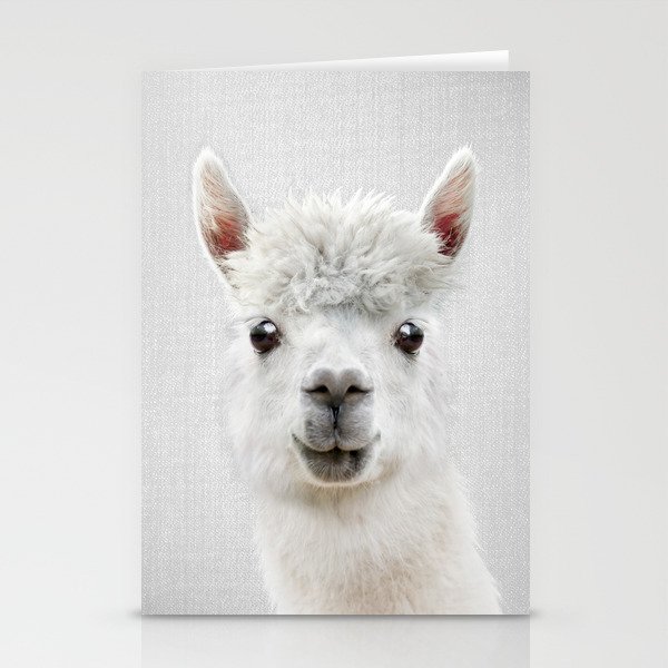 Llama - Colorful Stationery Cards