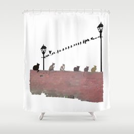 Cats and Birds Shower Curtain