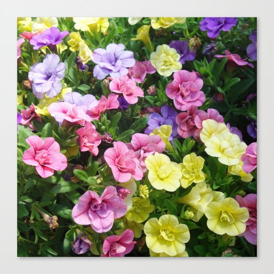 Lovely Flowers 17 Canvas Print