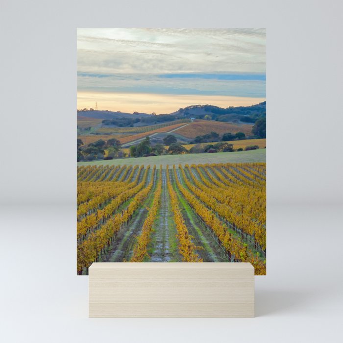 Vineyard Sunset vertical Mini Art Print