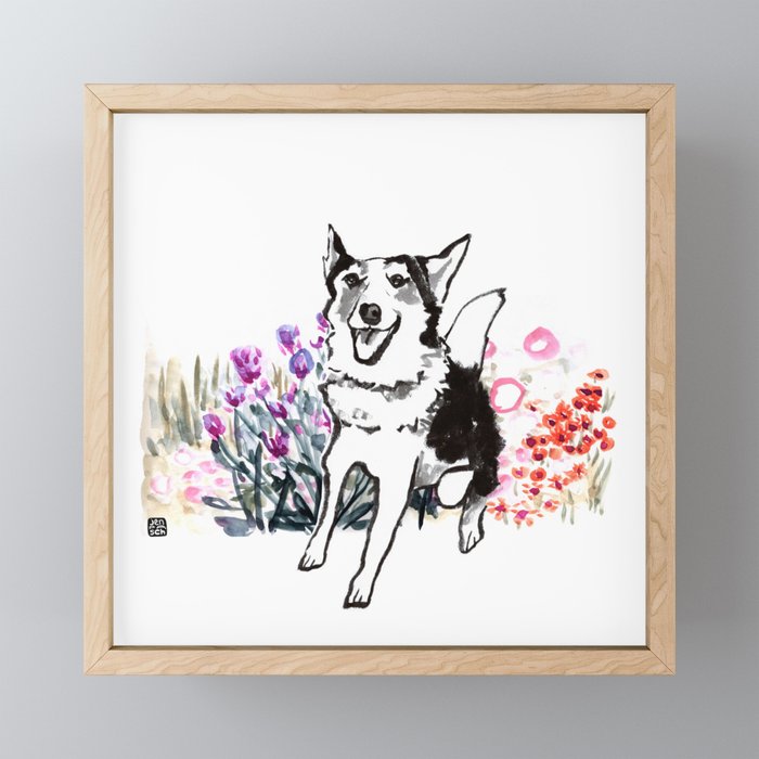 Husky Dog in the Flower Bed. Ink and Watercolor Framed Mini Art Print
