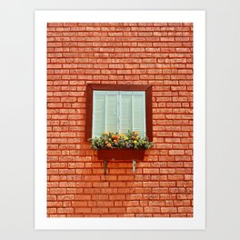 Mexican Marigold Window / Cempasúchil en la ventana  Art Print