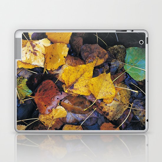Rain leaves II Laptop & iPad Skin