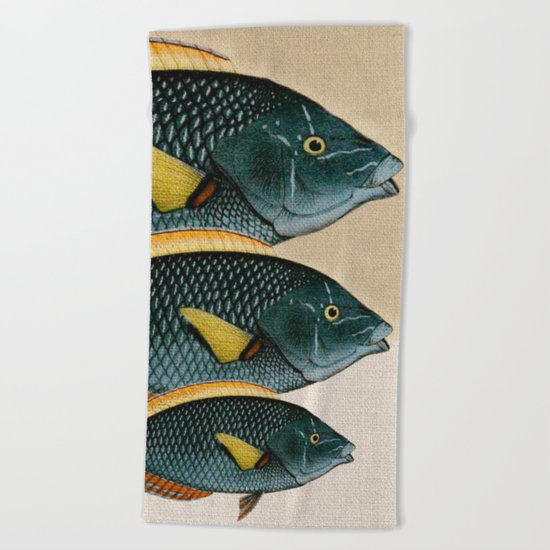Fish Classic Designs 10 Beach Towel