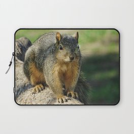 Squirrel at the Park Laptop Sleeve