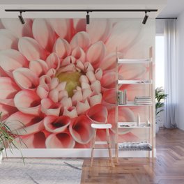 Dahlia 71 Wall Mural