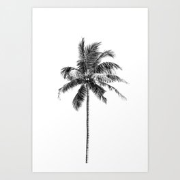 Palm tree by the beach Art Print