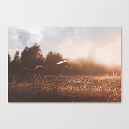 Horses after the Morning Feed Canvas Print