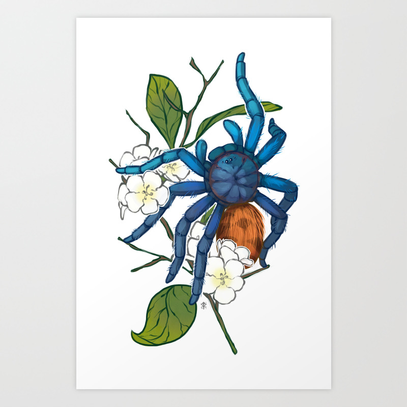 Chromatopelma Cyaneopubescens Art Print By The8thpage Society6