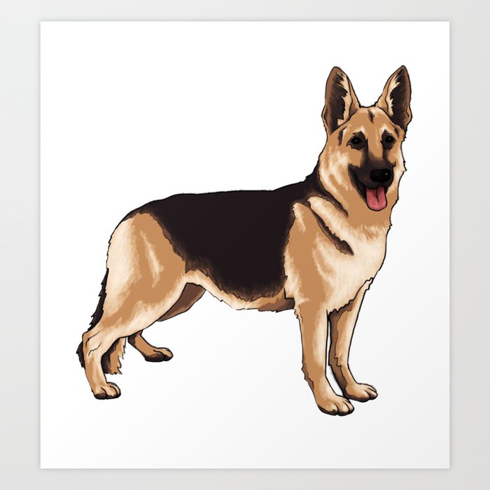 German shepherd dog Art Print