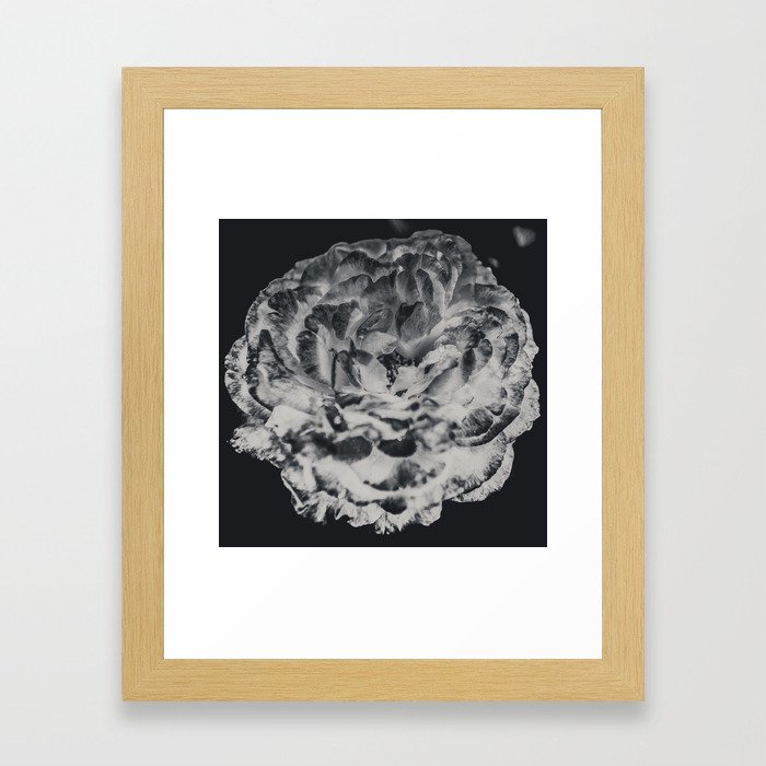 Desert Rose in Black and White Framed Art Print