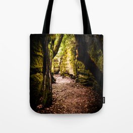 Trip to the Land of the Fey Tote Bag