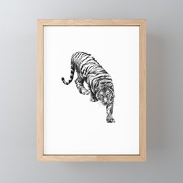 tiger 6 Framed Mini Art Print
