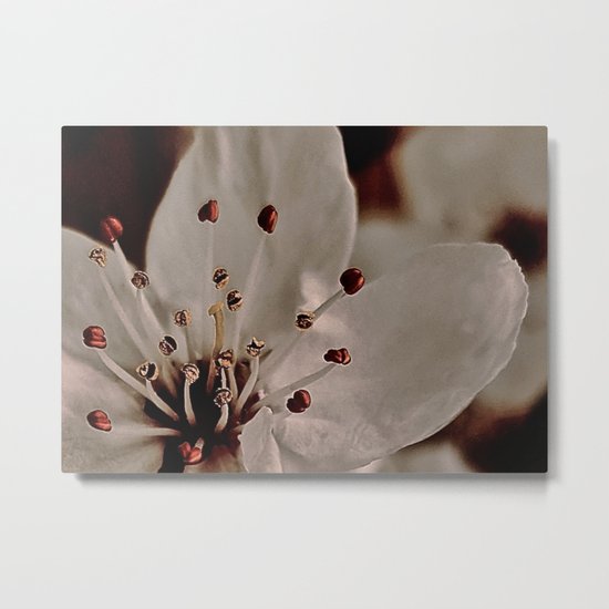 Plum Blossom, Strength Metal Print