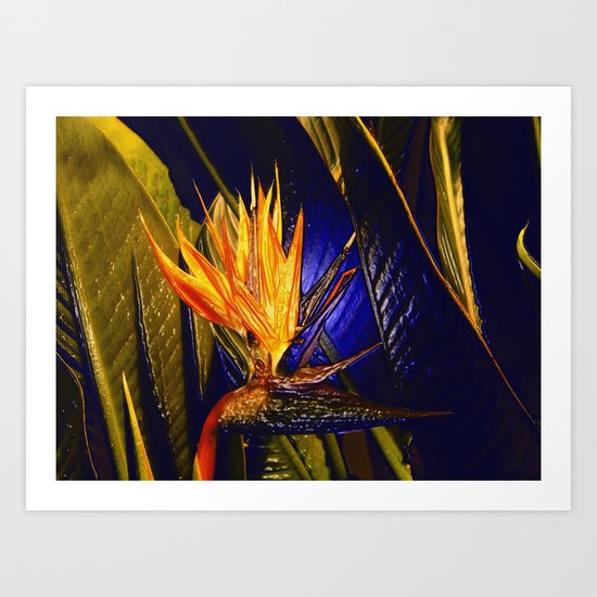 Wings of Gold Art Print