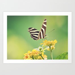 Mariposa Art Print | Photo, Nature 