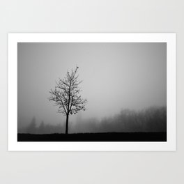 Foggy Silhouettes. Art Print | Foggy, White, Silhouettes, Black, Black And White, Fog, Photo 