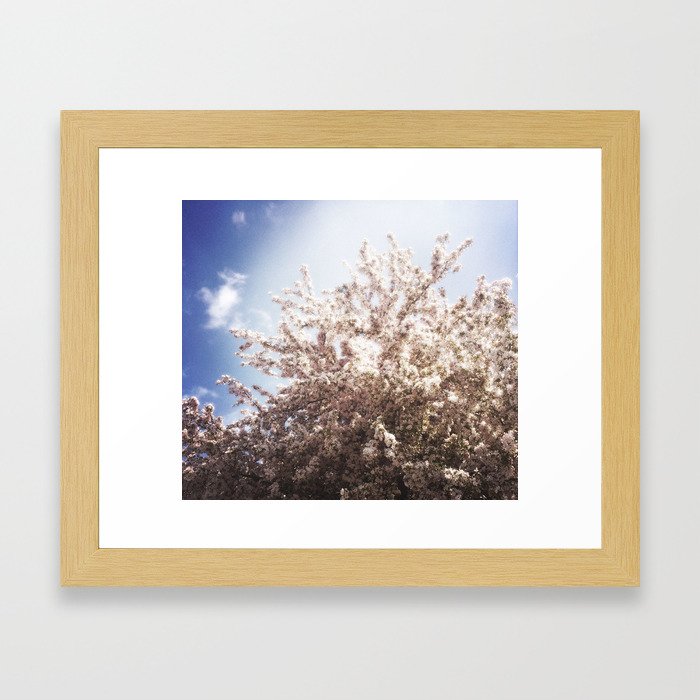 Blossoms in Spring Framed Art Print