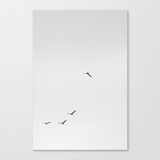 Johnathon. Canvas Print