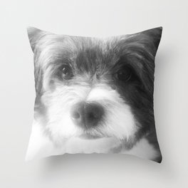 Shih Tzu Coton De Tuléar Dog Throw Pillow