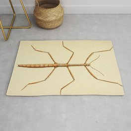 Antique Stick Insect Area & Throw Rug