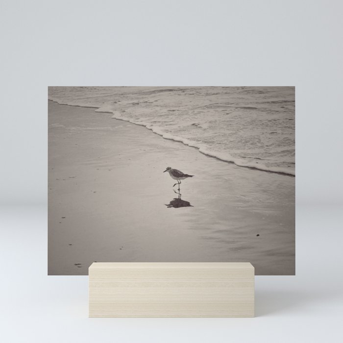 Bird on the beach Mini Art Print
