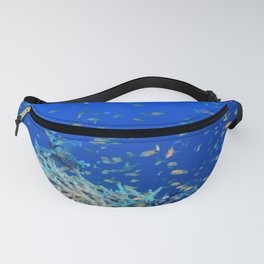 Aerial Photography Underwater  Fanny Pack