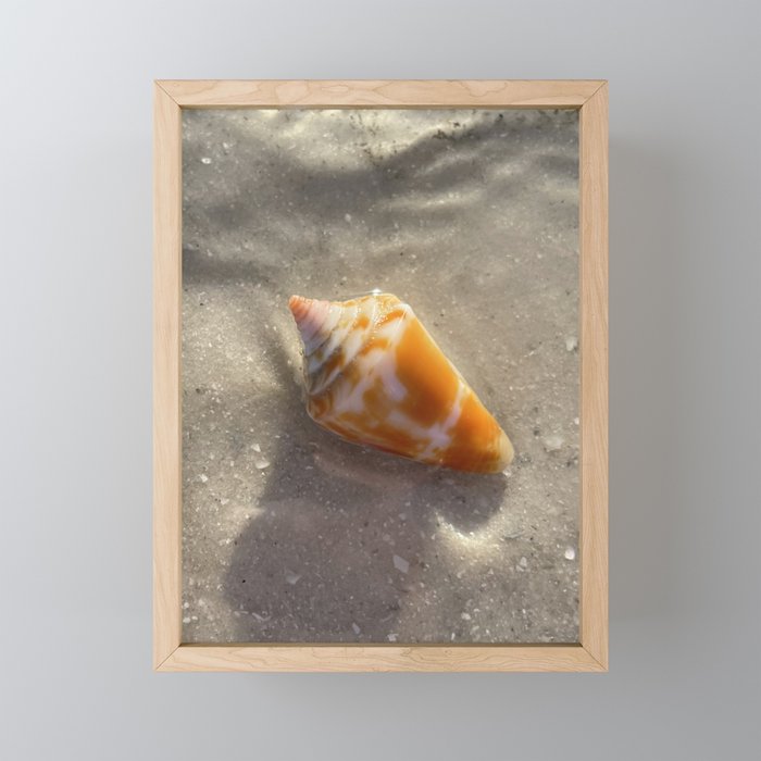 Resting Shell Framed Mini Art Print