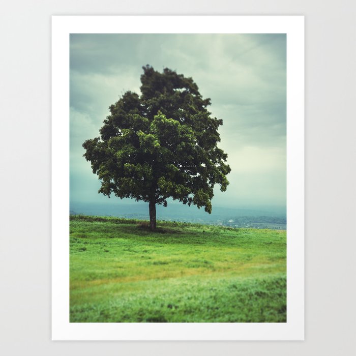 Tree in Field Art Print