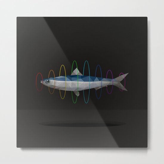 flying sardine Metal Print