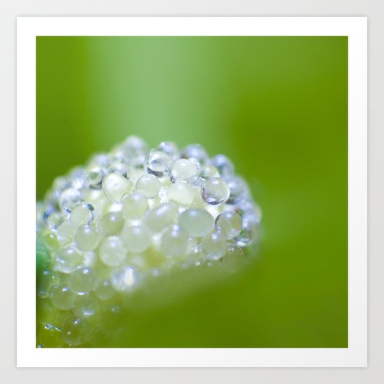 SERIES »MICROPEARLS« II Art Print