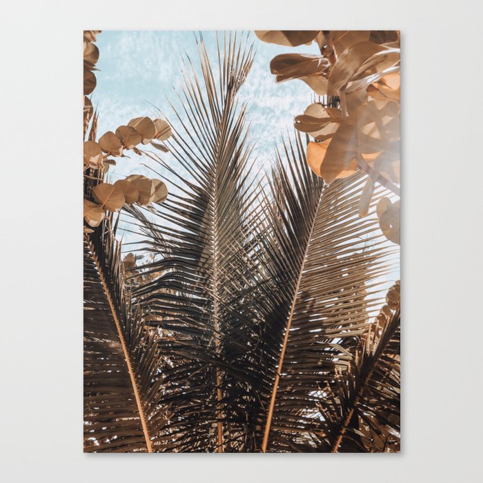 Palm leaves in Tulum Canvas Print