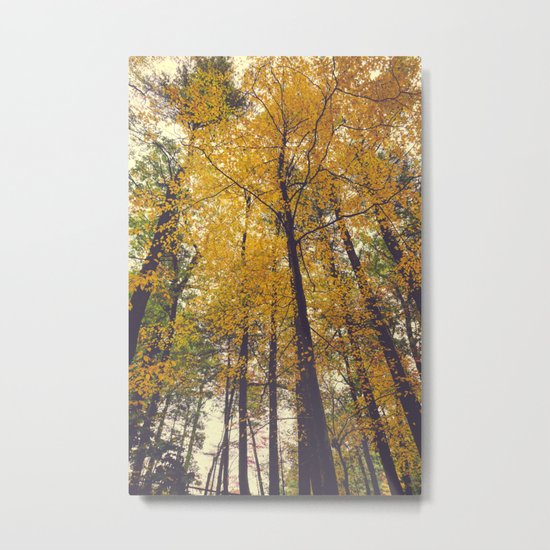 Forest Metal Print