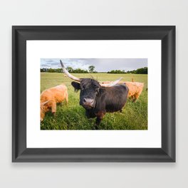 Highland Cow - Head Tilt Framed Art Print