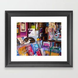 Cat napping in Turkish bookstore Framed Art Print