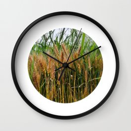 Summer wheat field in the countryside Wall Clock