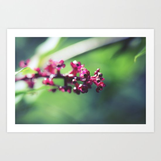 Botanical Cluster Art Print