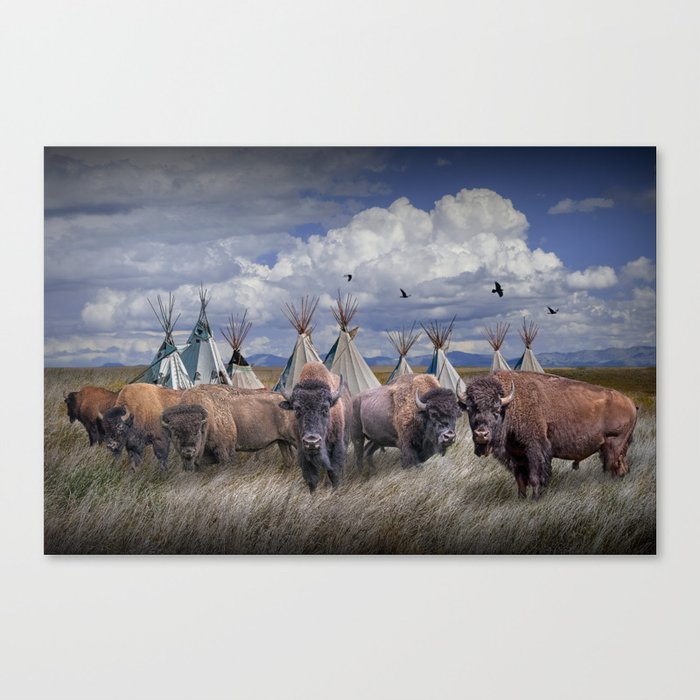 Bison Buffalo Herd by Indian Tepees in Western Landscape Canvas Print