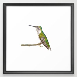 Female Hummingbird Portrait Framed Art Print