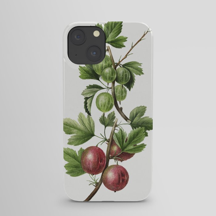 Vintage gooseberry bough iPhone Case