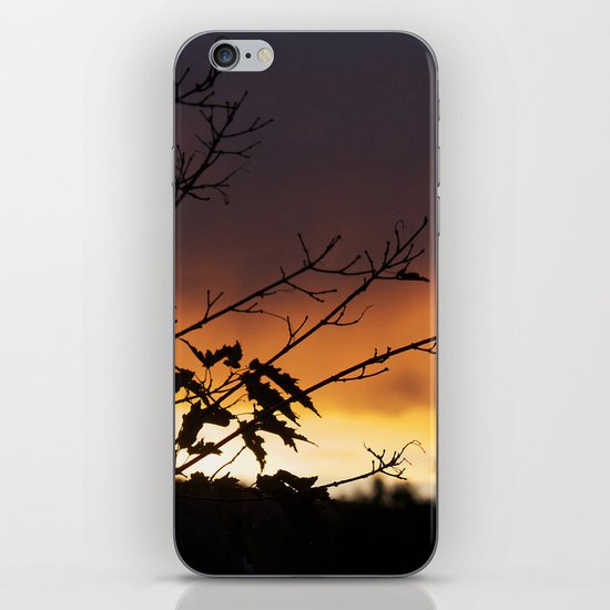 Sundown iPhone & iPod Skin