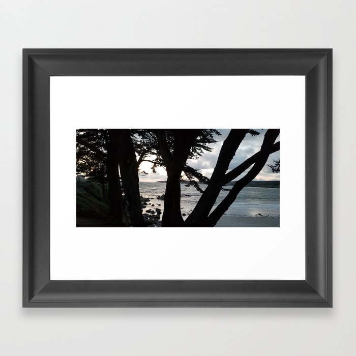 Carmel Beach through Trees Framed Art Print