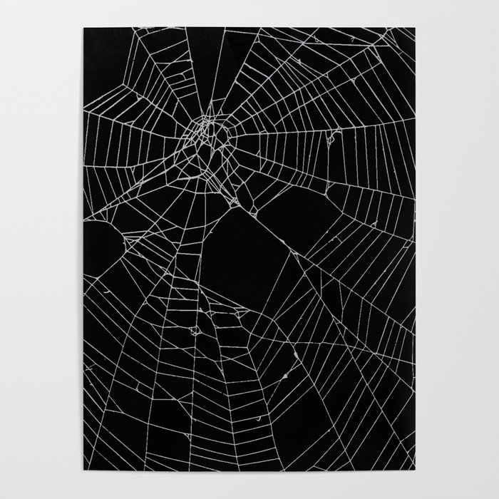 SpiderWeb Web Poster