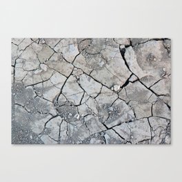 The Drought Canvas Print