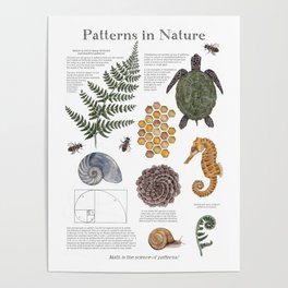 Patterns in Nature Poster