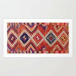 Kirghiz Afghanistan Central Asian Rug Print Art Print