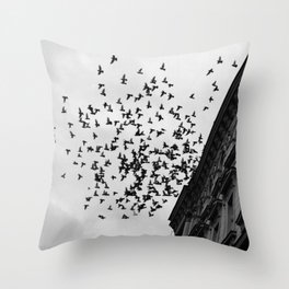 Chaos Theory: Applied Throw Pillow