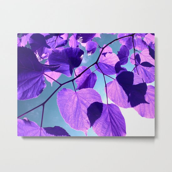 purple lime leaves I Metal Print